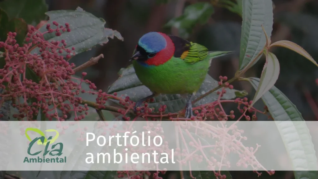 pdf-portifolio-ambiental