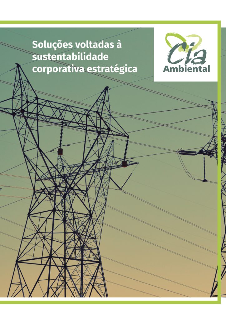 pdf-sustentabilidade-corporativa-estrategica